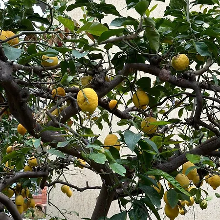 Vendégház Casa Patrizia